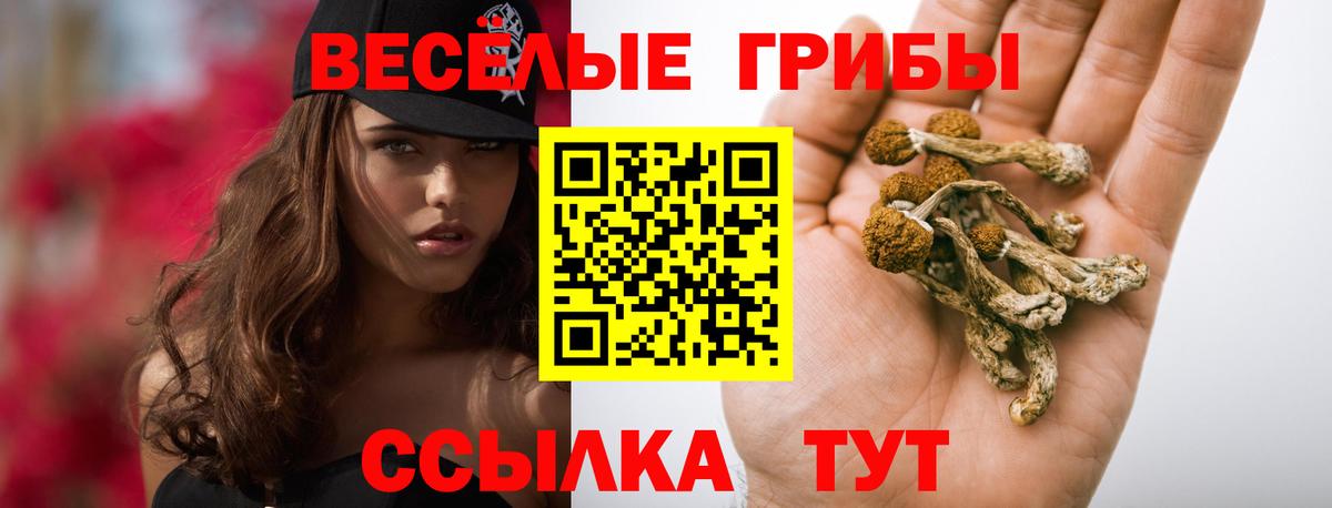 Надым  Галлюциногенные грибы ЛСД  Вход с VPN 