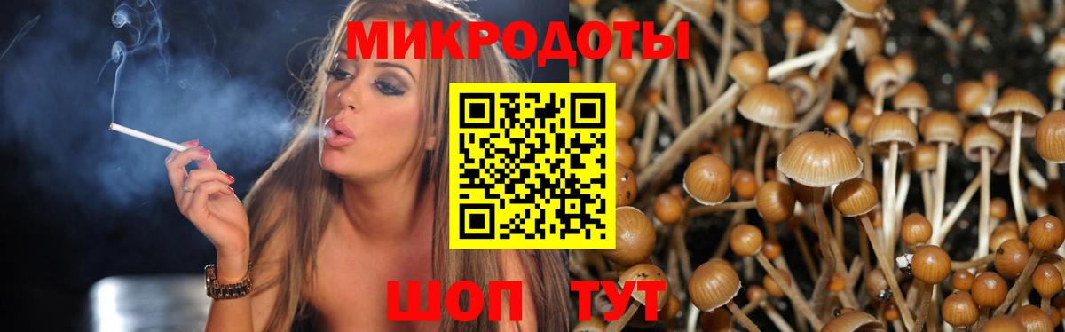 Галлюциногенные грибы GOLDEN TEACHER Надым